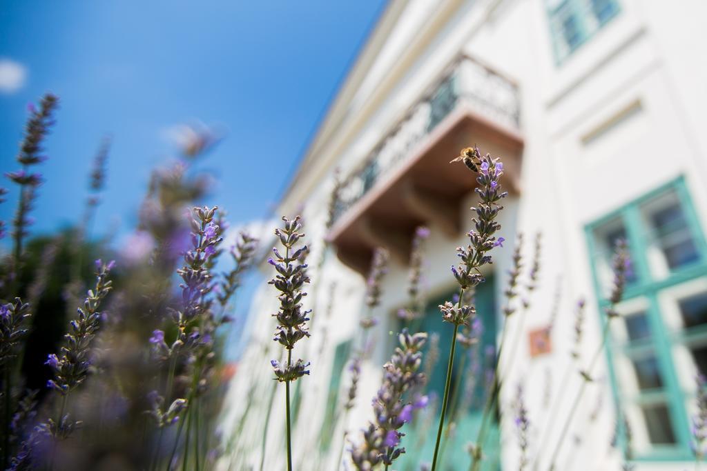 Erzsebet Nagy Szalloda Paks Exterior foto